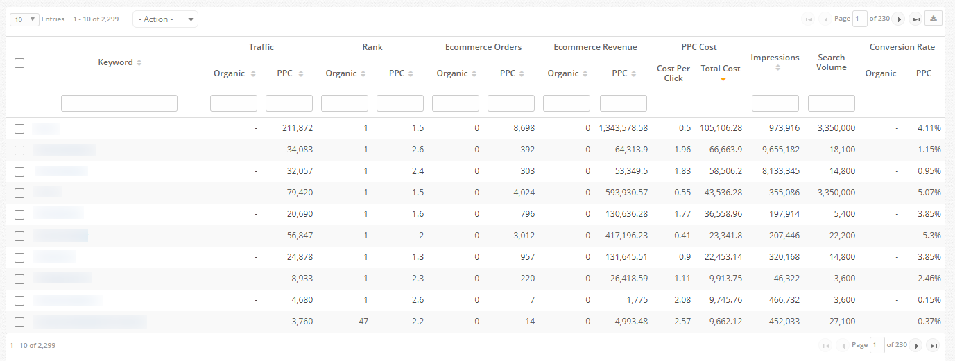 PPC integration in the seoClarity platform